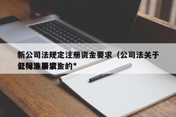 *
新公司法规定注册资金要求（公司法关于公司注册资金的*
低标准要求）