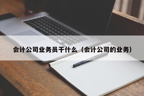 会计公司业务员干什么（会计公司的业务）