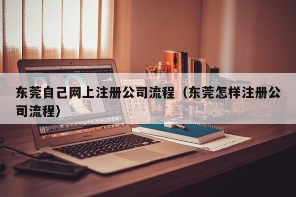 东莞自己网上注册公司流程（东莞怎样注册公司流程）