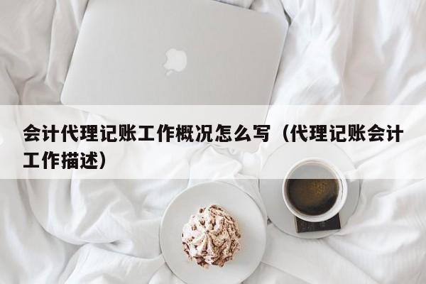 会计代理记账工作概况怎么写（代理记账会计工作描述）