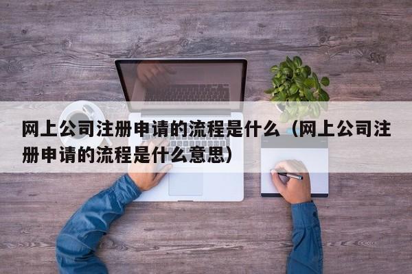 网上公司注册申请的流程是什么（网上公司注册申请的流程是什么意思）