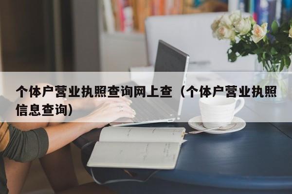 个体户营业执照查询网上查（个体户营业执照信息查询）