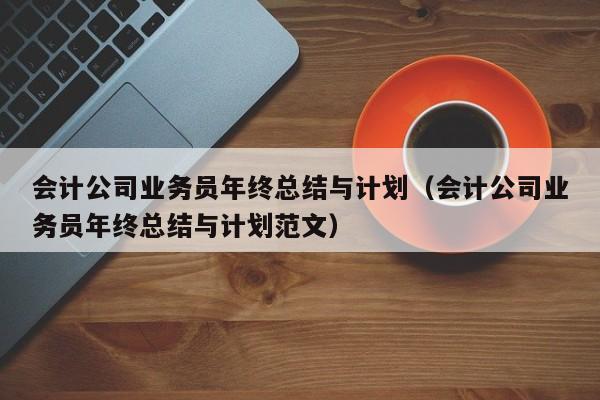 会计公司业务员年终总结与计划（会计公司业务员年终总结与计划范文）