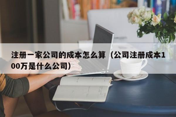 注册一家公司的成本怎么算（公司注册成本100万是什么公司）