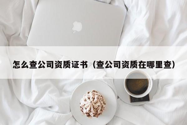 怎么查公司资质证书（查公司资质在哪里查）