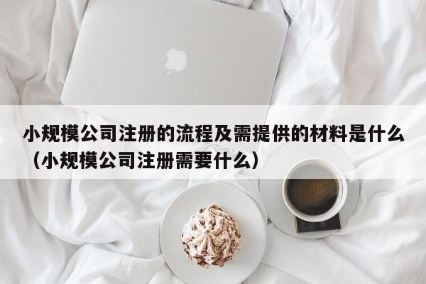 小规模公司注册的流程及需提供的材料是什么（小规模公司注册需要什么）