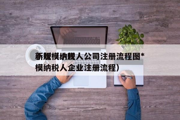 小规模纳税人公司注册流程图*
新版（小规模纳税人企业注册流程）