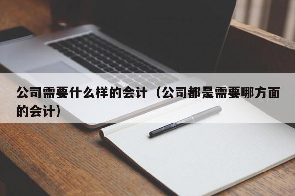 公司需要什么样的会计（公司都是需要哪方面的会计）