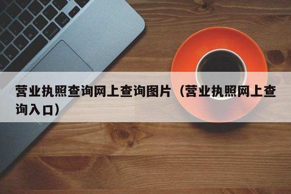 营业执照查询网上查询图片（营业执照网上查询入口）