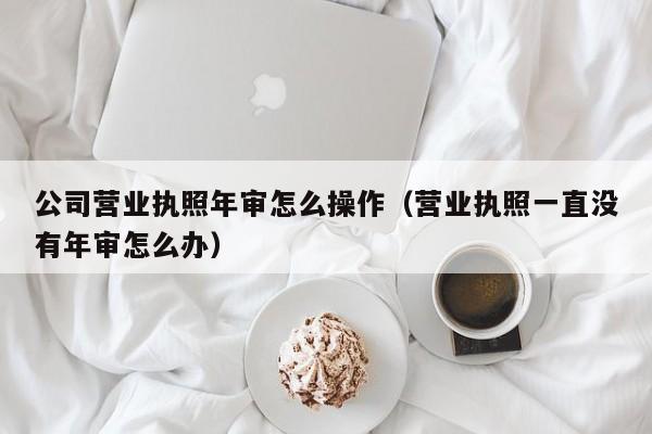 公司营业执照年审怎么操作（营业执照一直没有年审怎么办）