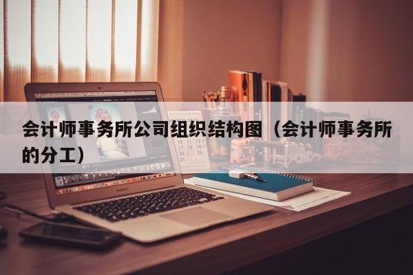 会计师事务所公司组织结构图（会计师事务所的分工）