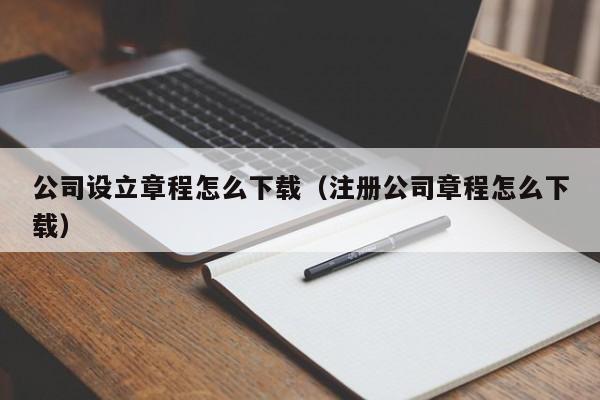 公司设立章程怎么下载（注册公司章程怎么下载）